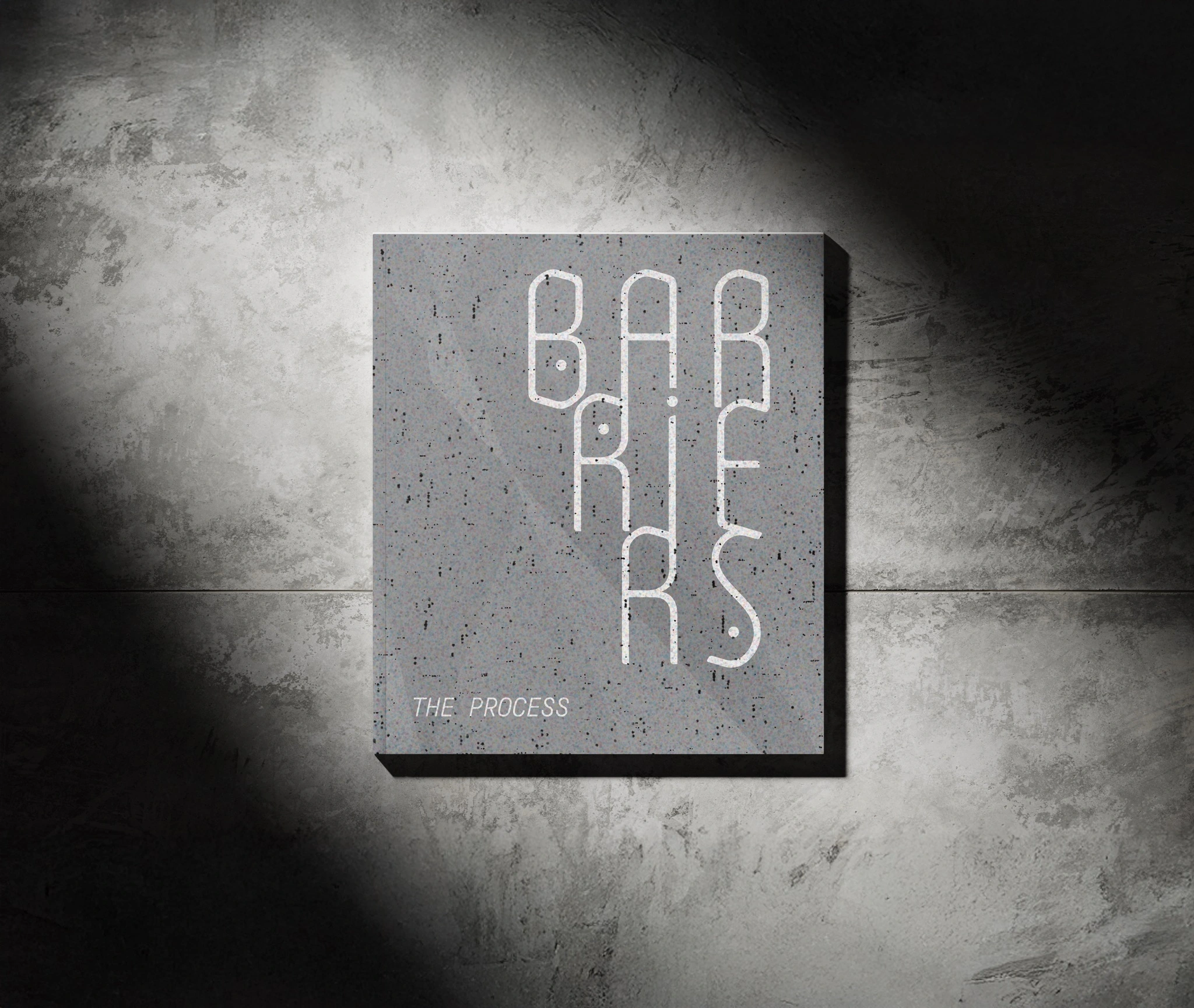 barriers process book